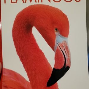 Meet your Posher, Valerie